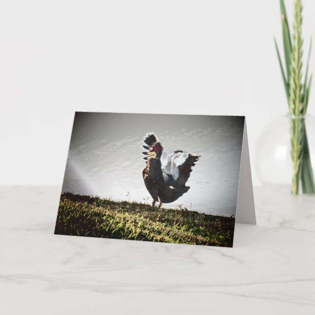 Super Muscovy Duck Greeting Card Karte (Vorderseite)
