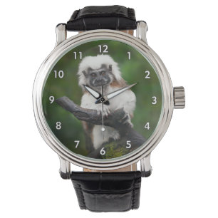 Super Niedlich Cotton Top Tamarin Primat Armbanduhr