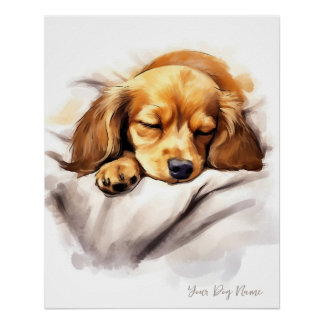Super niedlich Engel schlafend Welpe Dackel Dog 00 Poster