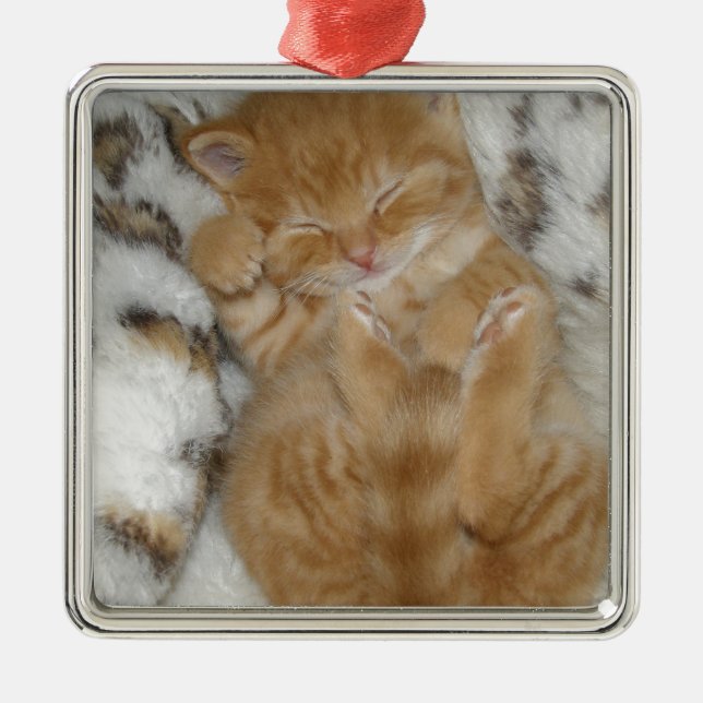 Super Niedlich Ginger Schlafkitten Silbernes Ornament (Vorne)