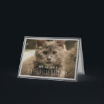 Super Niedlich Gray Kitten Funny Birthday Card Karte<br><div class="desc">Niedlich Kitten Geburtstagskarte. Purfekt für Katzenliebhaber.</div>