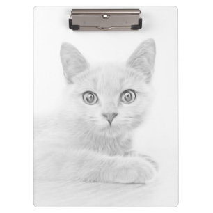 SUPER NIEDLICH Kitten Cat Portrait Klemmbrett