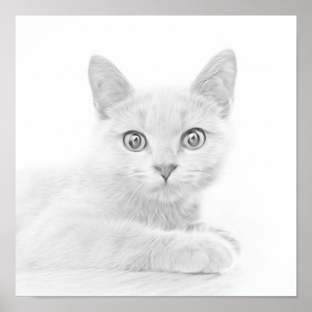 SUPER NIEDLICH Kitten Portrait Foto Poster (Vorne)