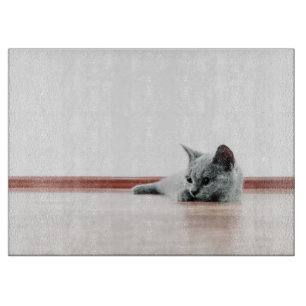 SUPER NIEDLICH Kitten Portrait Foto Schneidebrett
