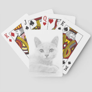 SUPER NIEDLICH Kitten Portrait Foto Spielkarten