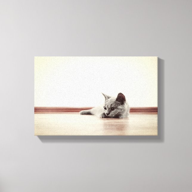 SUPER NIEDLICH Kitten Portrait - Vintager Stil Leinwanddruck (Vorderseite)