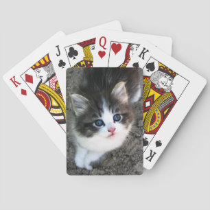 SUPER NIEDLICH Kitten Spielkarten