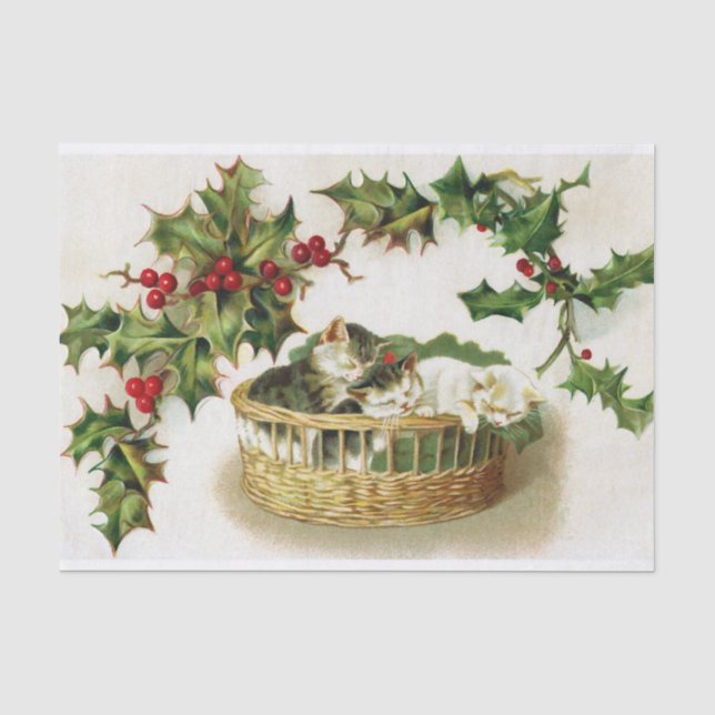 Super Niedlich schlafende Weihnachtskätzchen in ei Seidenpapier (Vorderseite)