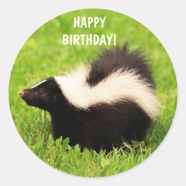 Super Niedlich Skunk Birthday Runder Aufkleber (Vorderseite)