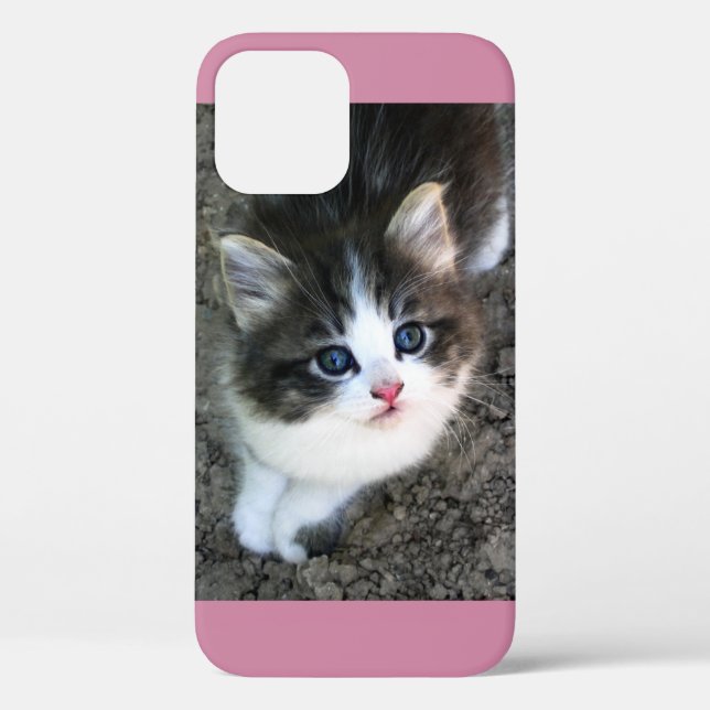 SUPER NIEDLICH Stray Kitten Case-Mate iPhone Hülle (Rückseite)