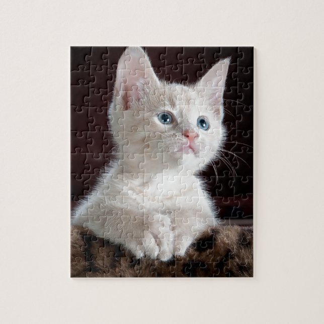 Super Niedlich White Kitten (Vertikal)
