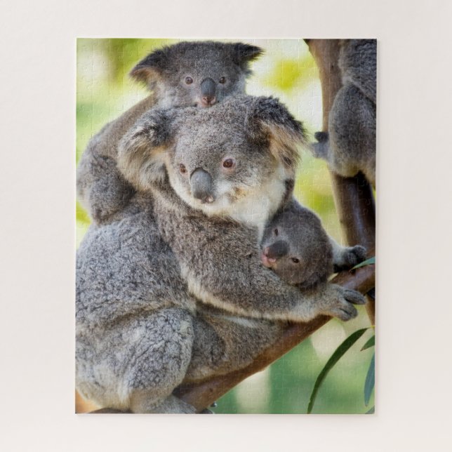 Super Niedliche Koala Wildlife Family (Vertikal)
