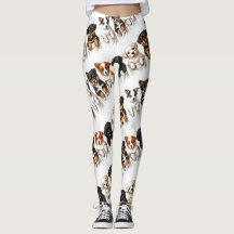 Super Niedliche Taschen voller Welpen