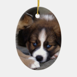 Super Niedlicher Australian Shepherd Puppy Keramikornament