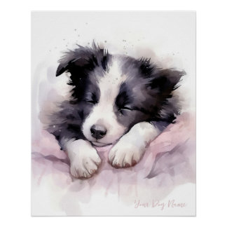 Super niedlicher Engel schlafend Welpe Border Coll Poster