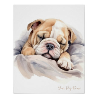 Super niedlicher Engel schlafend Welpe Bulldog 003 Poster