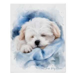 Super niedlicher Engel schlafender Welpe Maltese D Poster