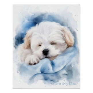 Super niedlicher Engel schlafender Welpe Maltese D Poster