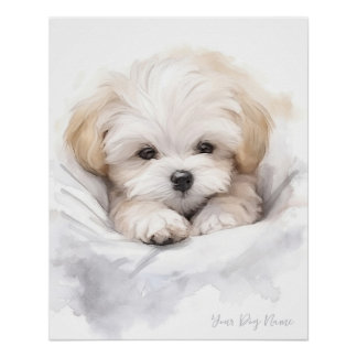 Super niedlicher Engel schlafender Welpe Maltese D Poster