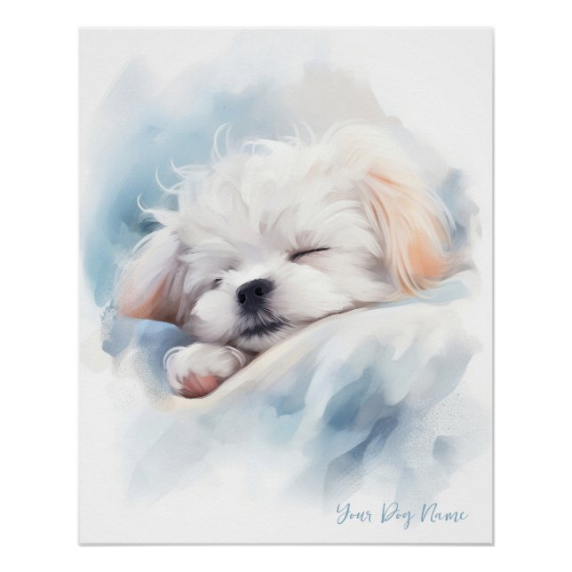 Super niedlicher Engel schlafender Welpe Maltese D Poster (Vorderseite)
