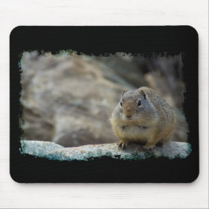 Super Niedlicher Ground Eichhörnchen Schwarze Gren Mousepad