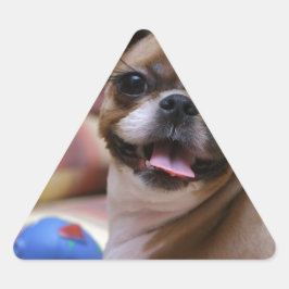 Super Niedlicher Hund mit ihrem Lieblingsball Dreieckiger Aufkleber