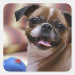 Super Niedlicher Hund mit ihrem Lieblingsball Quadratischer Aufkleber