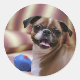 Super Niedlicher Hund mit ihrem Lieblingsball Runder Aufkleber