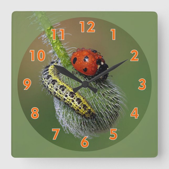 Super Niedlicher Lady Bug & Raupe Quadratische Wanduhr (Vorderseite)