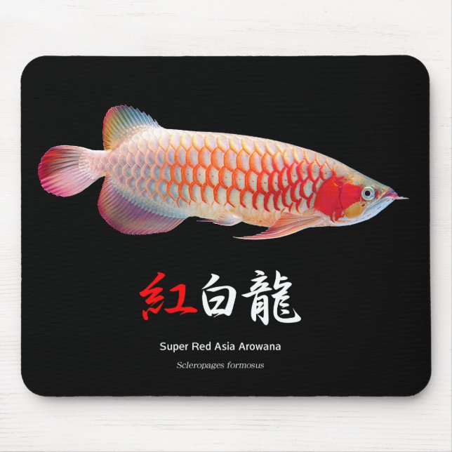 "Super Red Arowana"の 優 良 品 2 Mousepad (Vorne)