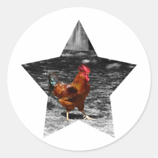 Super Star Chicken Runder Aufkleber