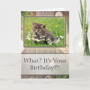 Super Suprisé Joyeux Carte photo de Kitten anniver
