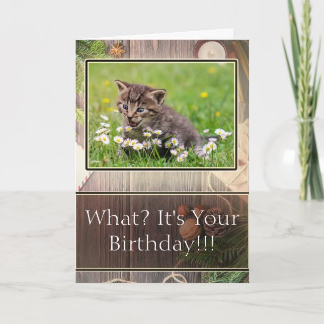 Super Suprisé Joyeux Carte photo de Kitten anniver (Devant)
