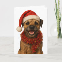 Super süße Border Terrier Weihnachtskarte