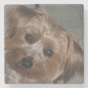 Super Sweet Yorkie Stone Untersetzer