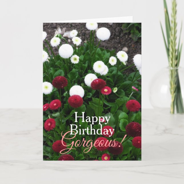 Superbe carte d'anniversaire du Jardin aux Fleurs (Devant)
