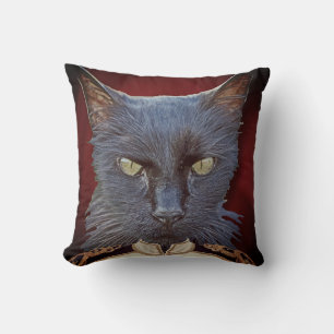 Superbe Coussin Général du Chat !