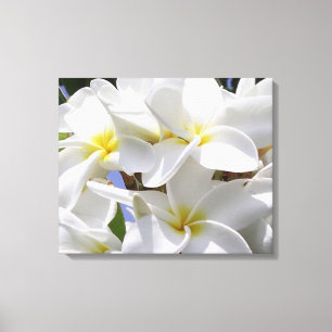 Superbe Plumeria Toile Enveloppée