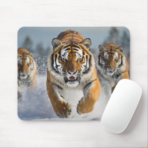 Superbe tapis de souris Tigre !