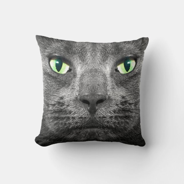 Superbe-vrai coussin gris de chat de George (Recto)