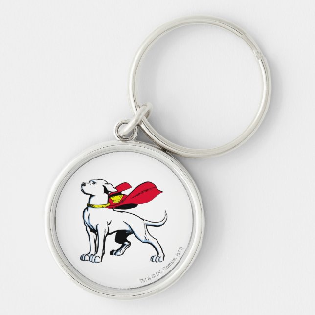 Superdog Krypto Schlüsselanhänger (Vorne)