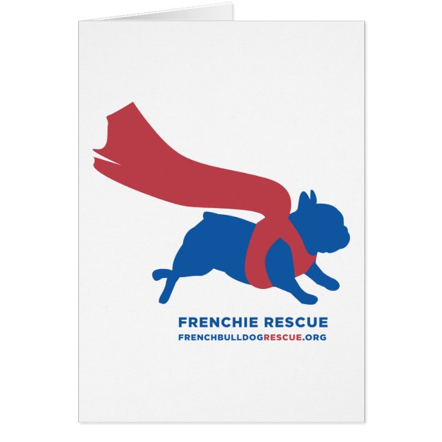 SuperFrenchie (Vorne)