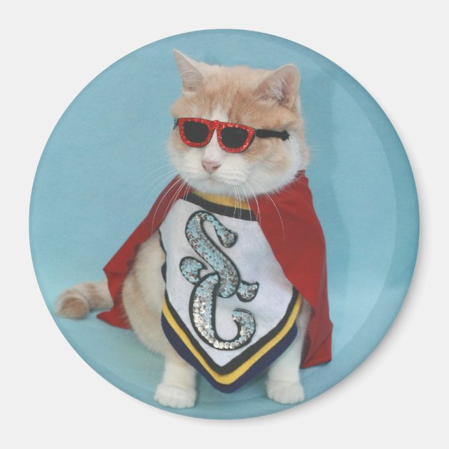 Superhero Bubba Magnet (Vorne)