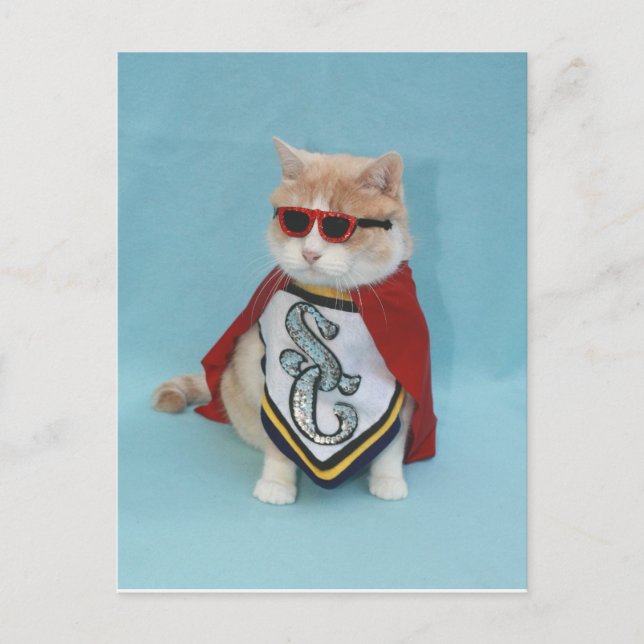 Superhero Bubba Postkarte (Vorderseite)