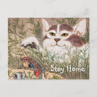 Supernatural Cat Postkarte