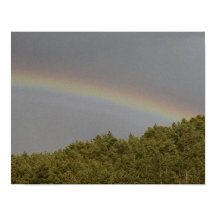 Supernumerischer Regenbogen, oberhalb des immergrü