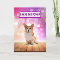 Superstar Corgi wird gut