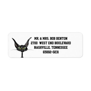 Superstitive Schwarze Katze