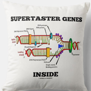 Supertaster-Gene innerhalb des DNA-Replikations-Sp Kissen