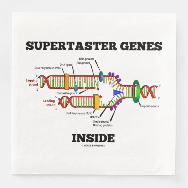 Supertaster-Gene innerhalb des DNA-Replikations-Sp Serviette (Vorderseite)